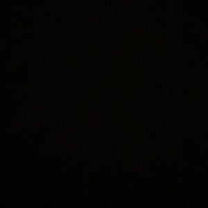 Meet your Posher, Sophia